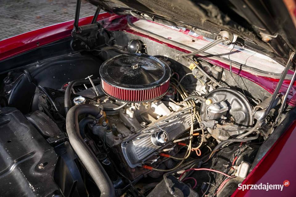 Oldsmobile 442 Rok produkcji 1969 Sucumin