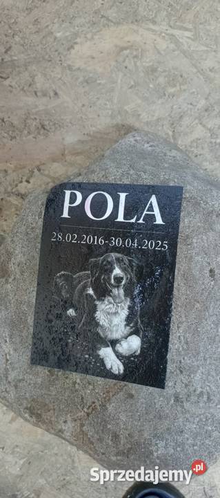 Usługa druku UV na ścianieszkle płótnie metalu Września