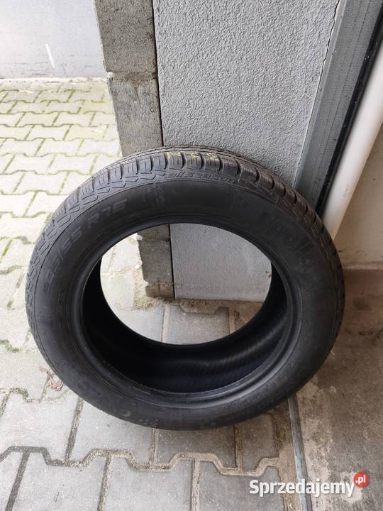 Apollo Alnac 4G All Season 20555 R16 94 H XL Lublin