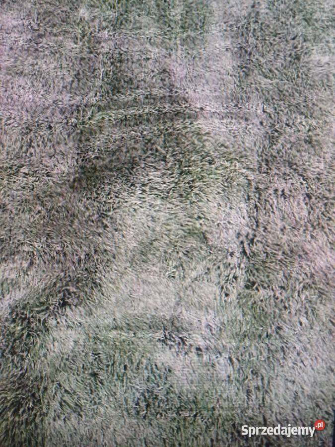 sztuczna trawe boiskową mało używaną warmińsko-mazurskie Morąg