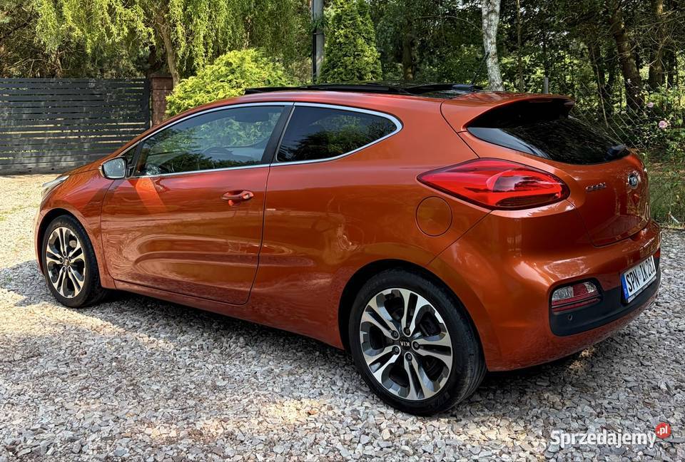 Kia ProCeed 16 Oryginalny lakier Bezwypadkowa serwisowany w ASO Płońsk