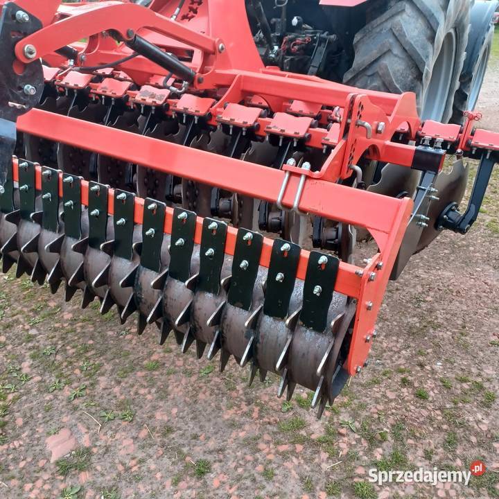 Talerzówka Dziadowa Kłoda