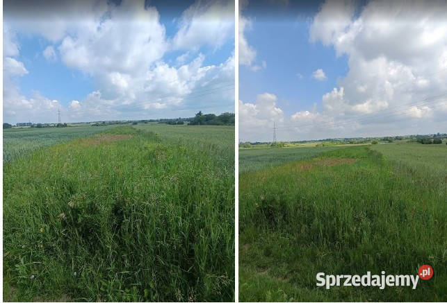 Syndyk sprzeda Nieruchomość gruntową rolna