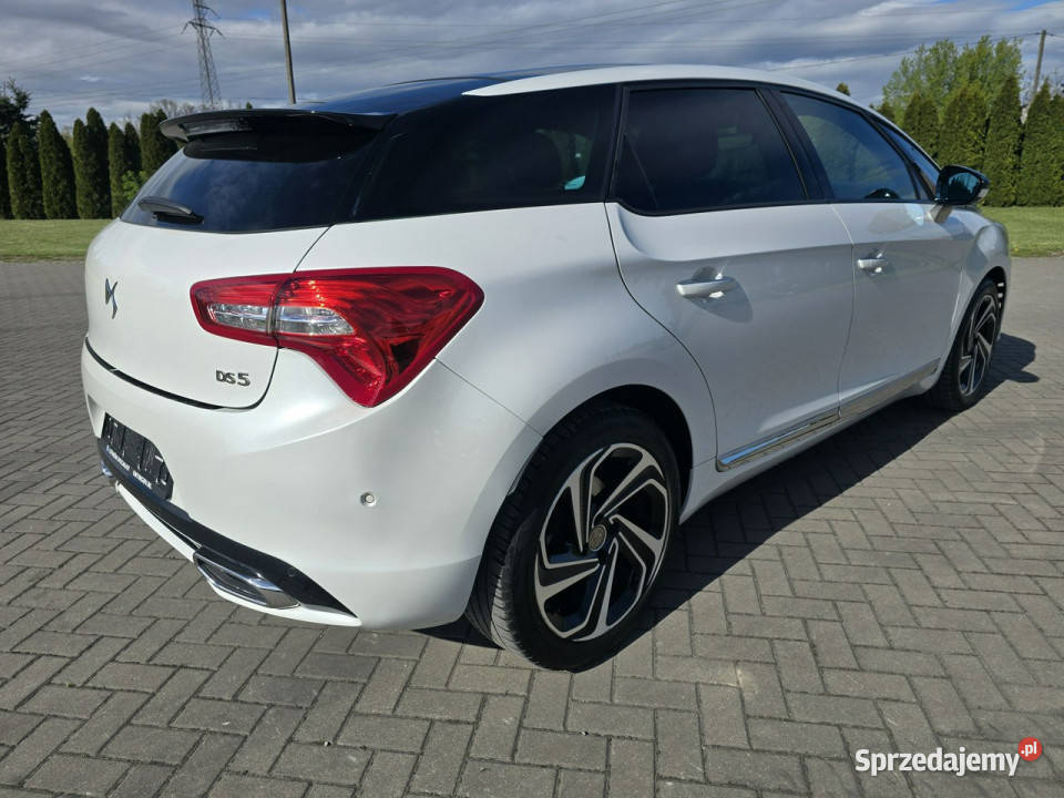 Citroen DS5 20hdi DS5 łódzkie Kutno