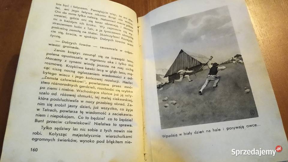 Pojednanie powieść o niedźwiedziu tatrzańskim Gdańsk