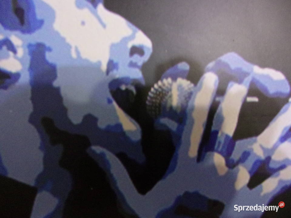 Śpiewający Wokalista dość wyjątkowy obrazek na Warszawa