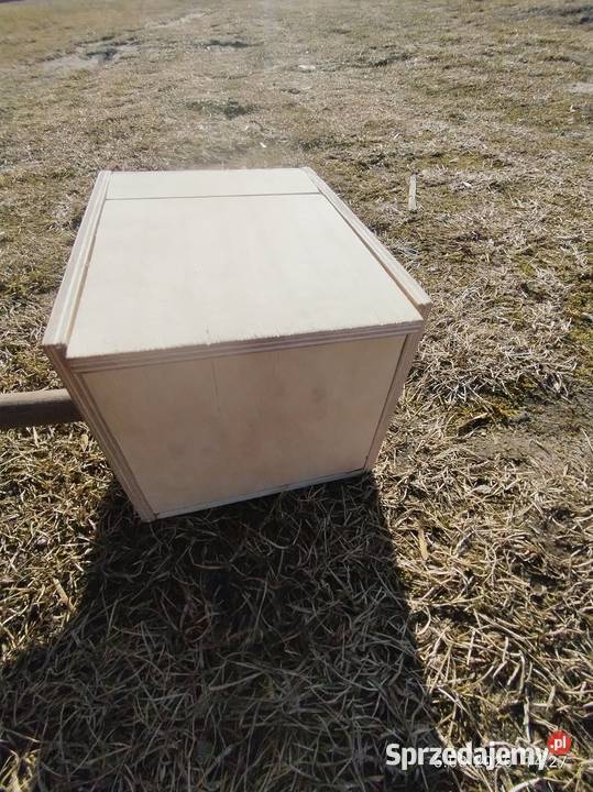 Butki legowej papug faliste wysyłka Żnin