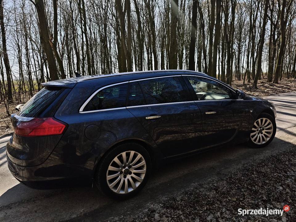 Opel Insignia Kraśnik sprzedam