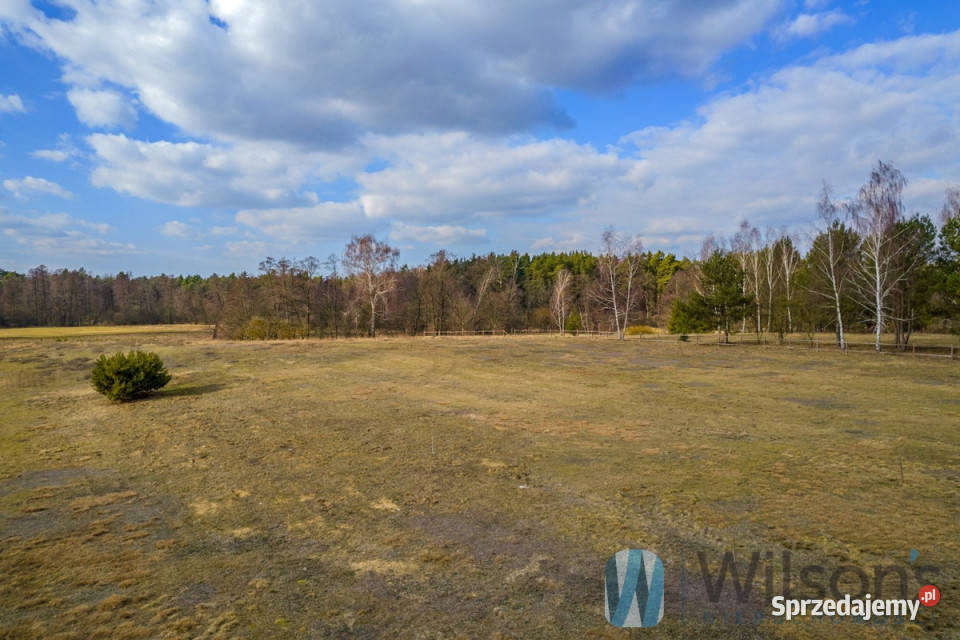 sprzedaży działki 3000m2 Gościeńczyce