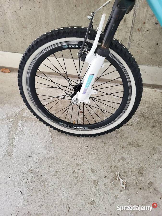 Trek Moon 20 rower dziewczynki Warszawa