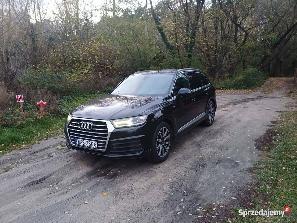 Audi Q7 30 TDI SLine 272 quattro Pacyna
