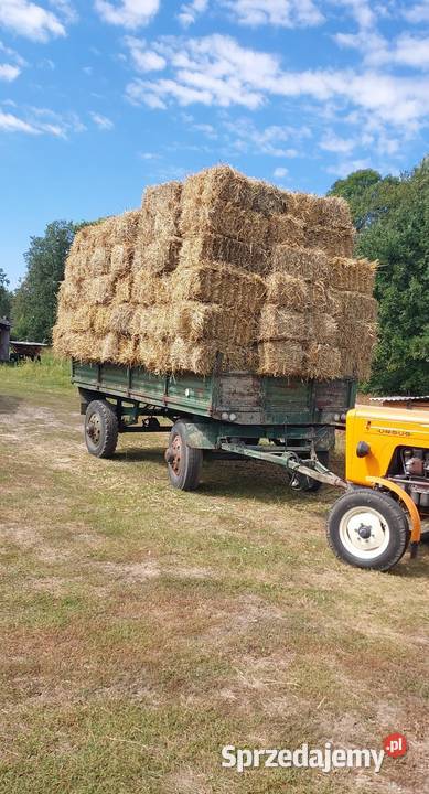 Przyczepa rolnicza Autosan Przyczepy rolnicze Biłgoraj sprzedam
