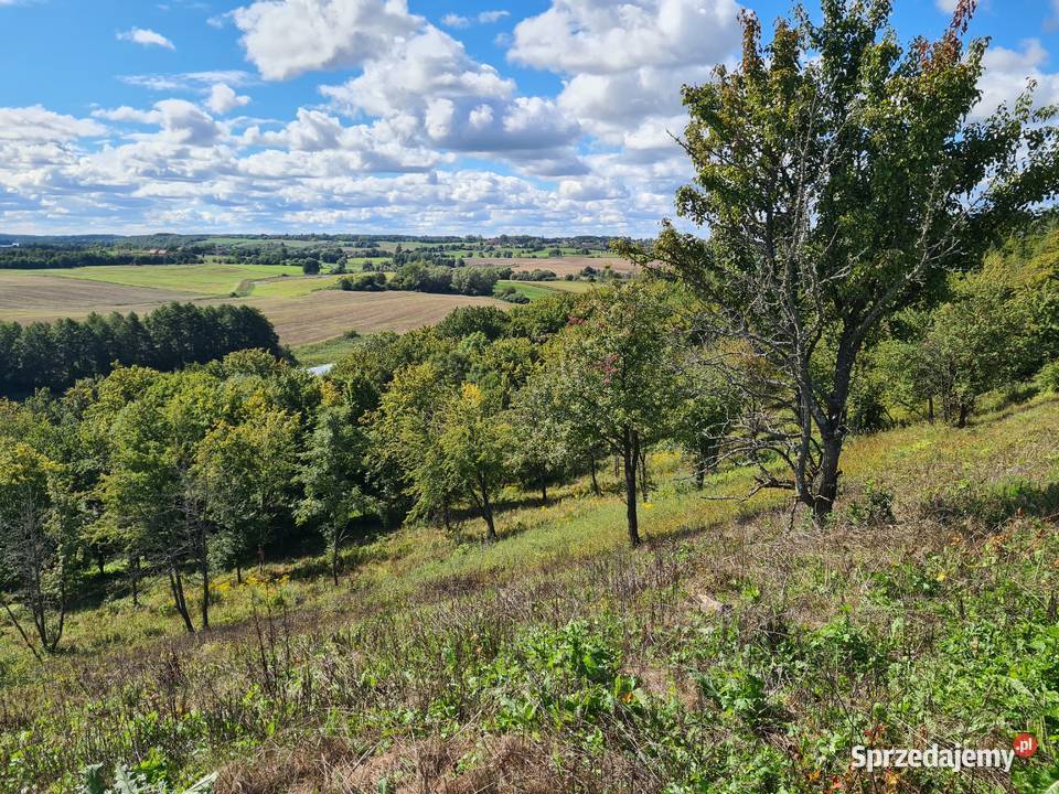 Działka z linią brzegową Zalec