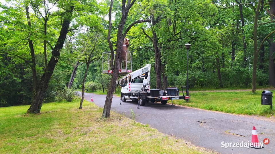 Podnośnik koszowy wynajem usługi zwyżka wycinka Wrocław