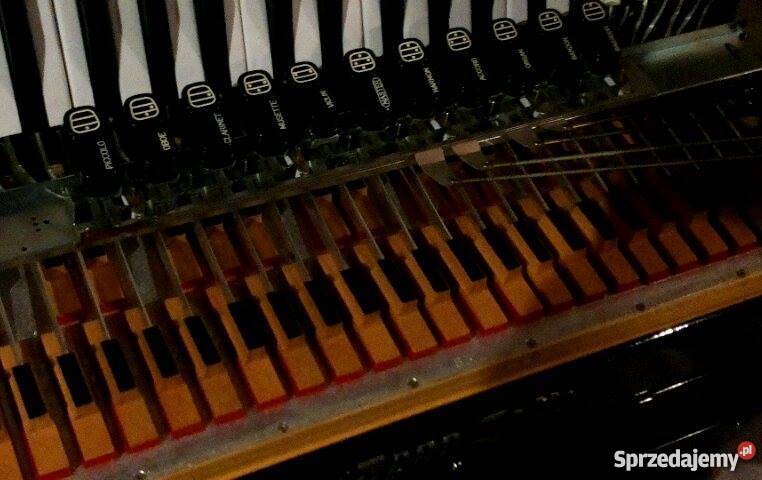 Zero Sette B 22 NOWY lubelskie Lublin