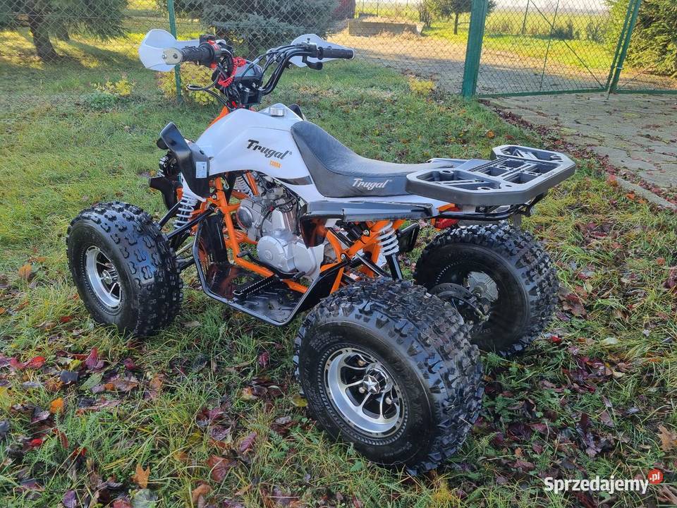 Quad Atv Frugal Cobra 125cc 11R Koła 8 Stan Nowy łańcuch Kruszwica