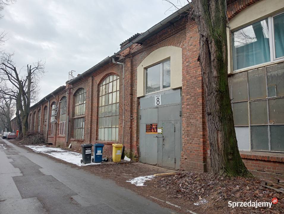Do wynajęcia 120m2 Wynajem