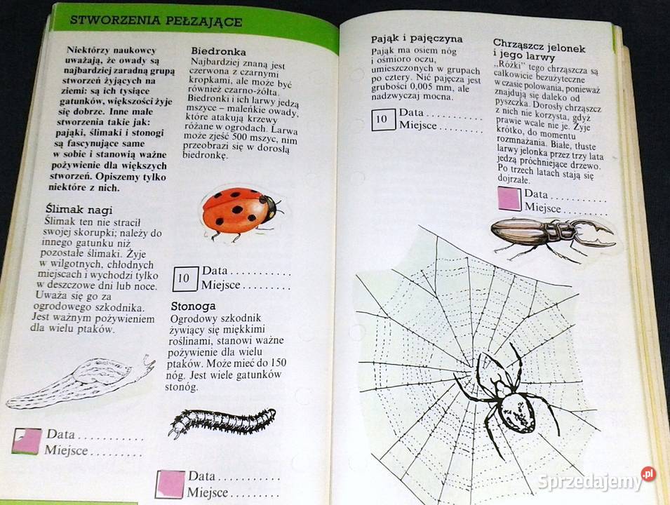 Zaobserwuj to Przewodnik przyrodzie Rosy Border Chełm sprzedam