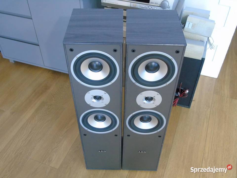 Mocne i ładne kolumny AEG 2 x 500 wat DOSTAWA