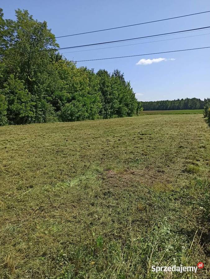 Mulczowanie wykaszanie nieużytków poplonów Karczowanie i usuwanie drzew Kłomnice