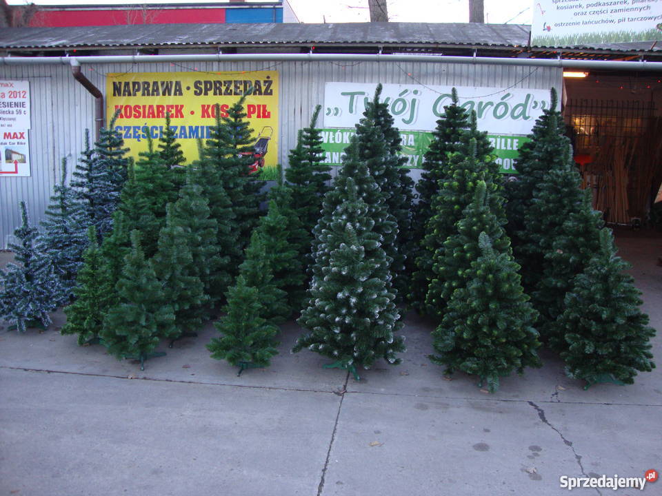 Choinki choinka sztuczna Choinki żywe sprzedam