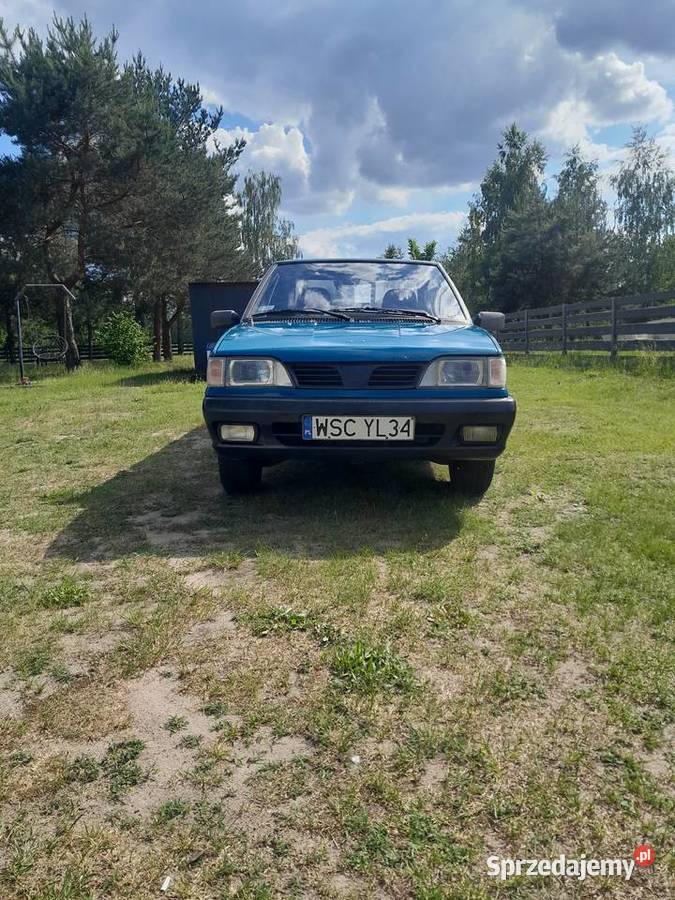 Polonez truck 1600cm3 Wilcze Tułowskie sprzedam