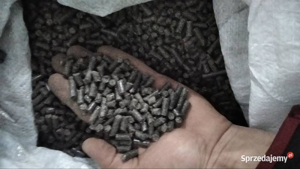 Pellet słonecznikowy rękę Opał Warszawa