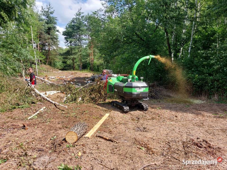 Wycinka ścinka drzew czyszczenie działek usługi małopolskie Brzesko