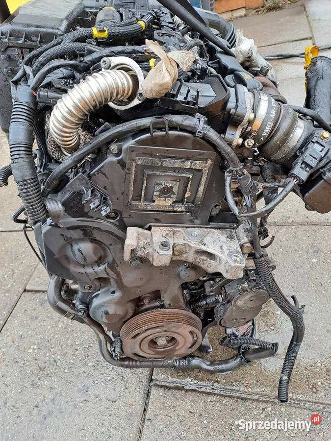 Citroen Peugeot 16HDi silnik kompletny kod 9HX Jastrzębie-Zdrój sprzedam