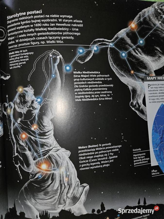 Kodmos Rewelacyjna skarbnica wiedzy Nowa