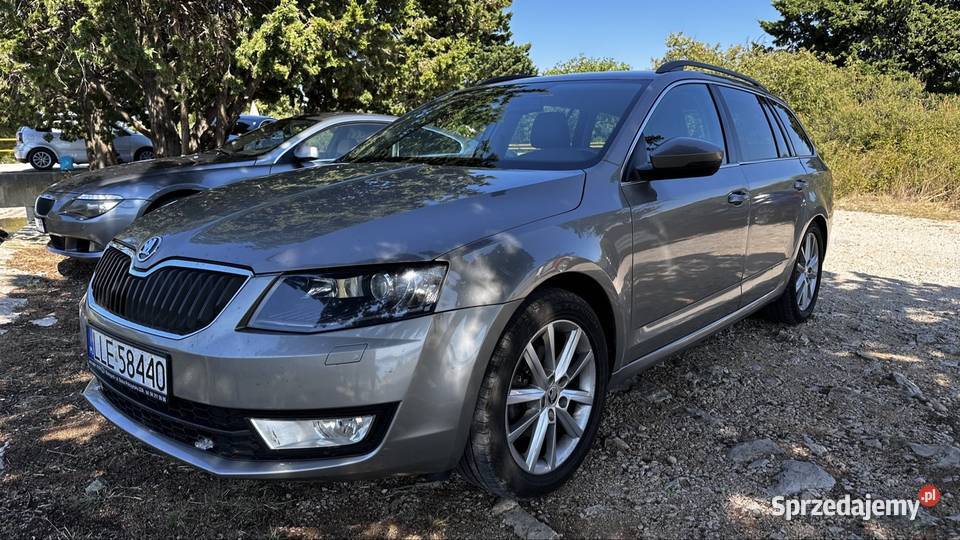 Octavia 20 TDI Bixenon Canton pół skóra duża sprowadzony Octavia Milejów-Osada