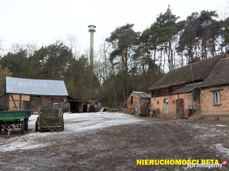 Na sprzedaż gospodarstwo Krobielewko Krobielewko sprzedam