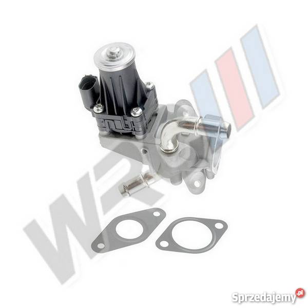 Zawór EGR Ford Transit Ranger 22TDCi 24TDCi Fiat Włocławek