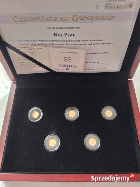 Najmniejsze BIG Five Little Five ZŁOTO Kędzierzyn-Koźle