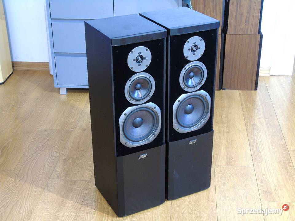Świetne kolumny stereo ASW Sonus DC 100 sprawne podkarpackie Jasło