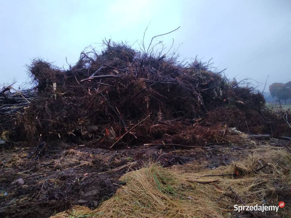 Przyjmę gałezie korzenie konary drewno palety Leśnictwo Gąbin