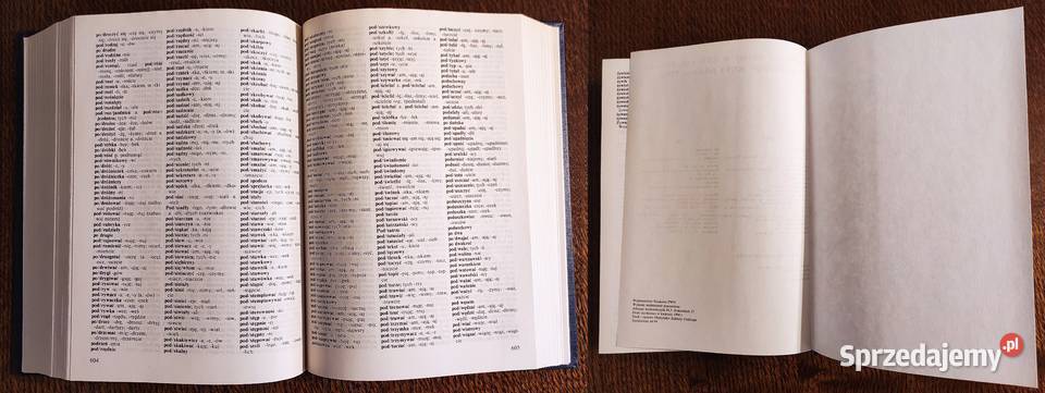 Idealny stan Mieczysław Szymczak Słownik mazowieckie Warszawa