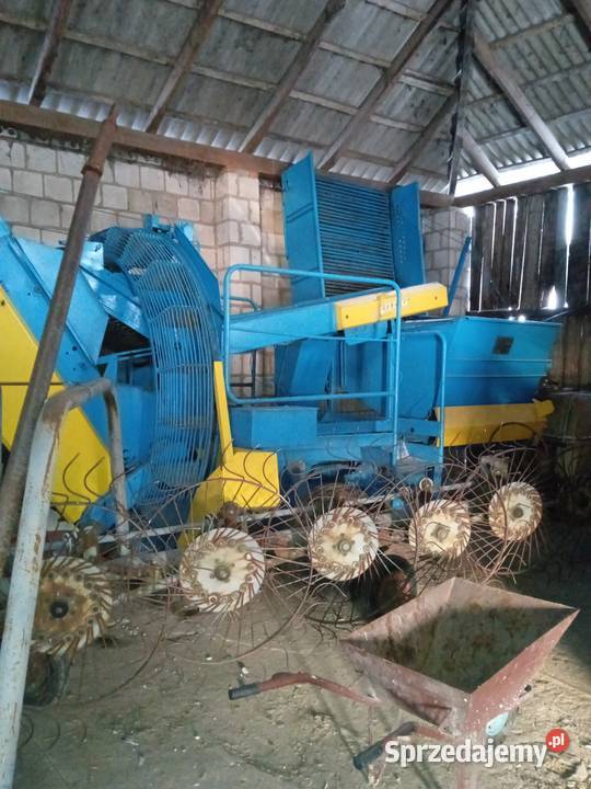 Anna z644 lubelskie Radzyń Podlaski