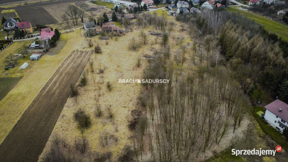 Grunt 7000m2 Wołowice