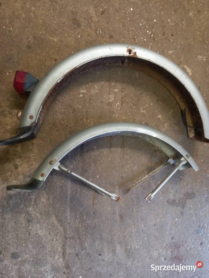 Błotniki romet ogar Sokołów Podlaski