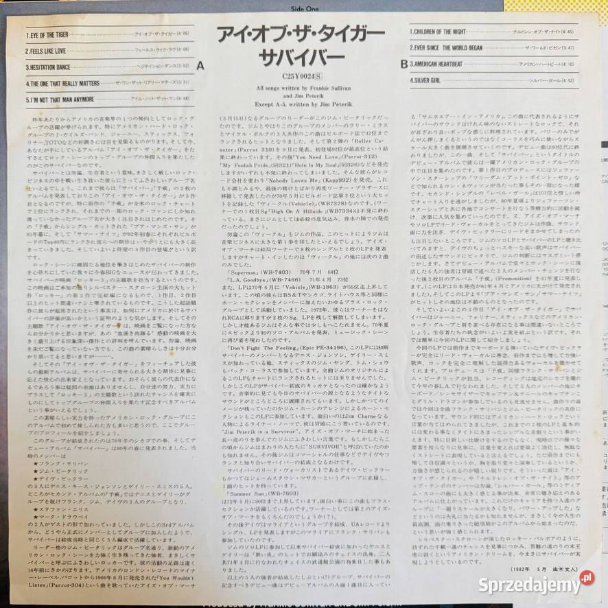 Eye Of The Tiger Ost survivor NMNM Japan Obi LP pomorskie Gdańsk sprzedam