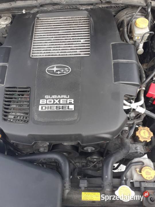 Subaru Forester Forester