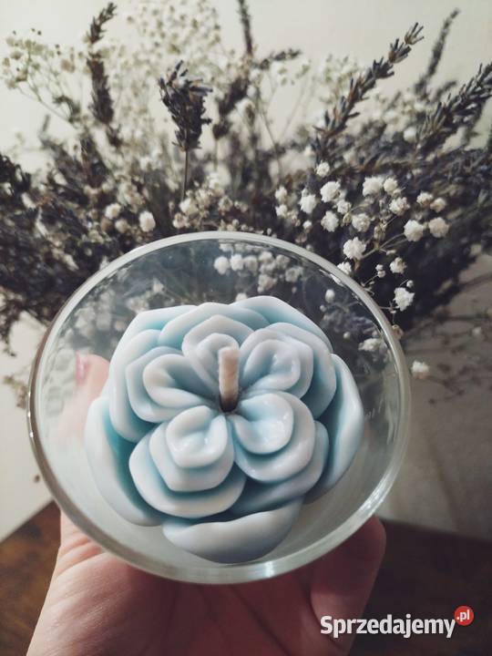 Świeczka sojowa Wisnia wielkopolskie Łowyń