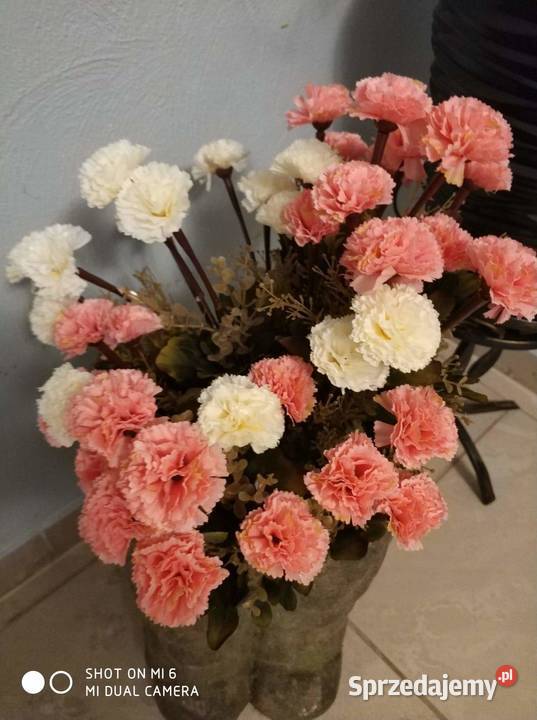 Gożdziki sztuczne Straszęcin