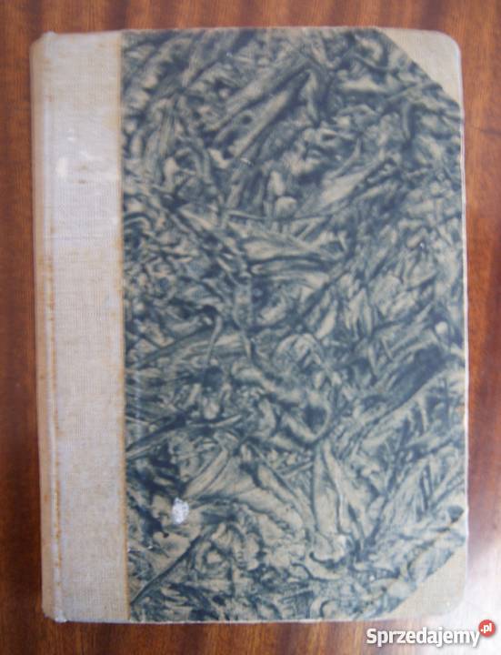 Józef Ignacy Kraszewski Dziecię Starego Miasta Parczew