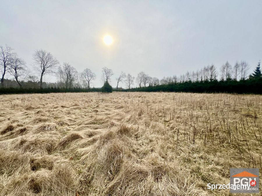 Działka Gostyniec 3007m2 szambo