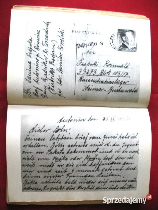 Kryptonim Dora W CzarneckiZ Zonik książka polska Pozostałe mazowieckie Siedlce