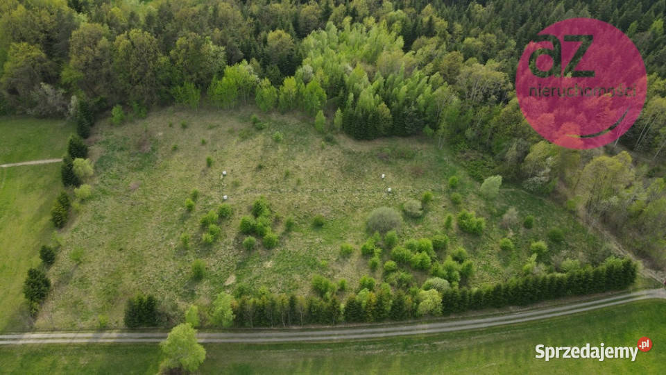 6 działek budowlanych w Stróżówce 24a utwardzona Sprzedaż