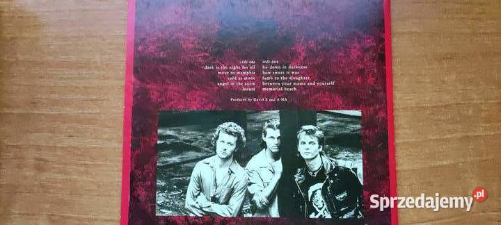 aha Memorial Beach Płyty i kasety Gliwice