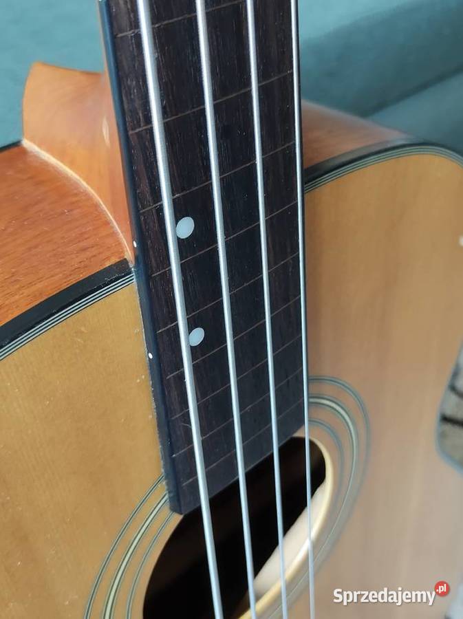 Fender Bezprogowy Bas Elektroakustyczny dolnośląskie Trzebnica